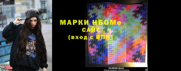 ешки Алексин