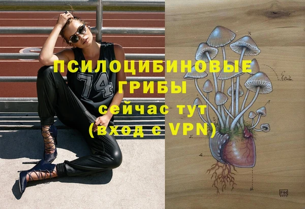 сатива Абдулино