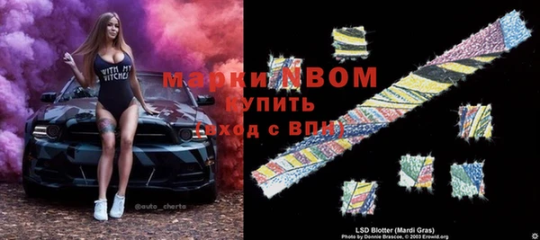 тгк Алзамай