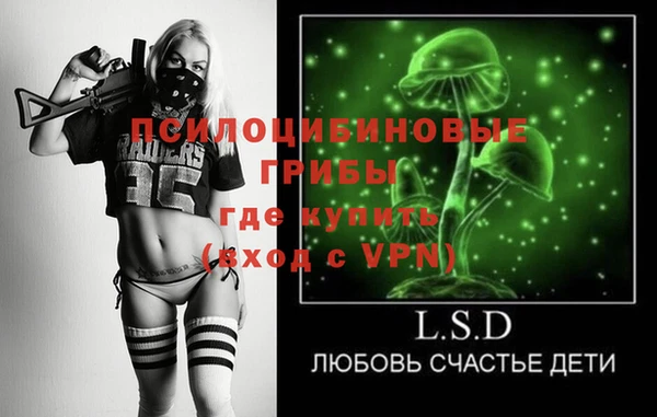 тгк Алзамай