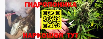 молекула духа Коммунар